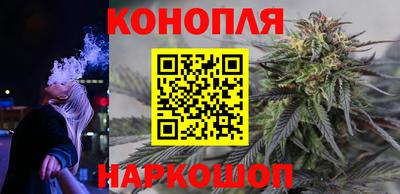 apvp Пугачёв