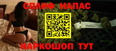 apvp Пугачёв