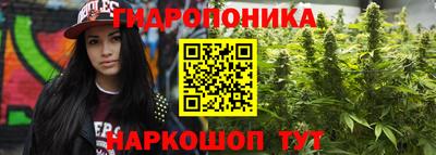 мяу мяу мука Пушкино