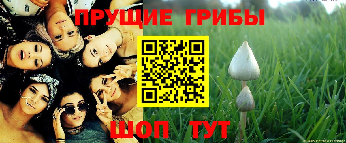 Галлюциногенные грибы MAGIC MUSHROOMS Советская Гавань